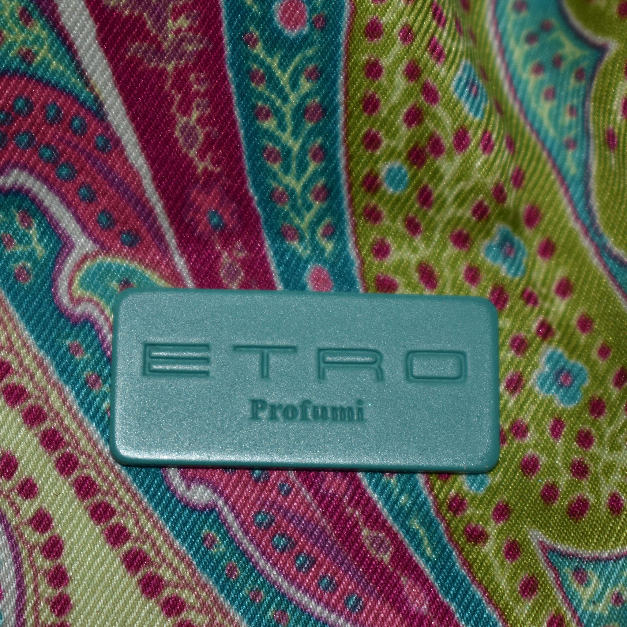 ETRO Pink & Green Leather Bag